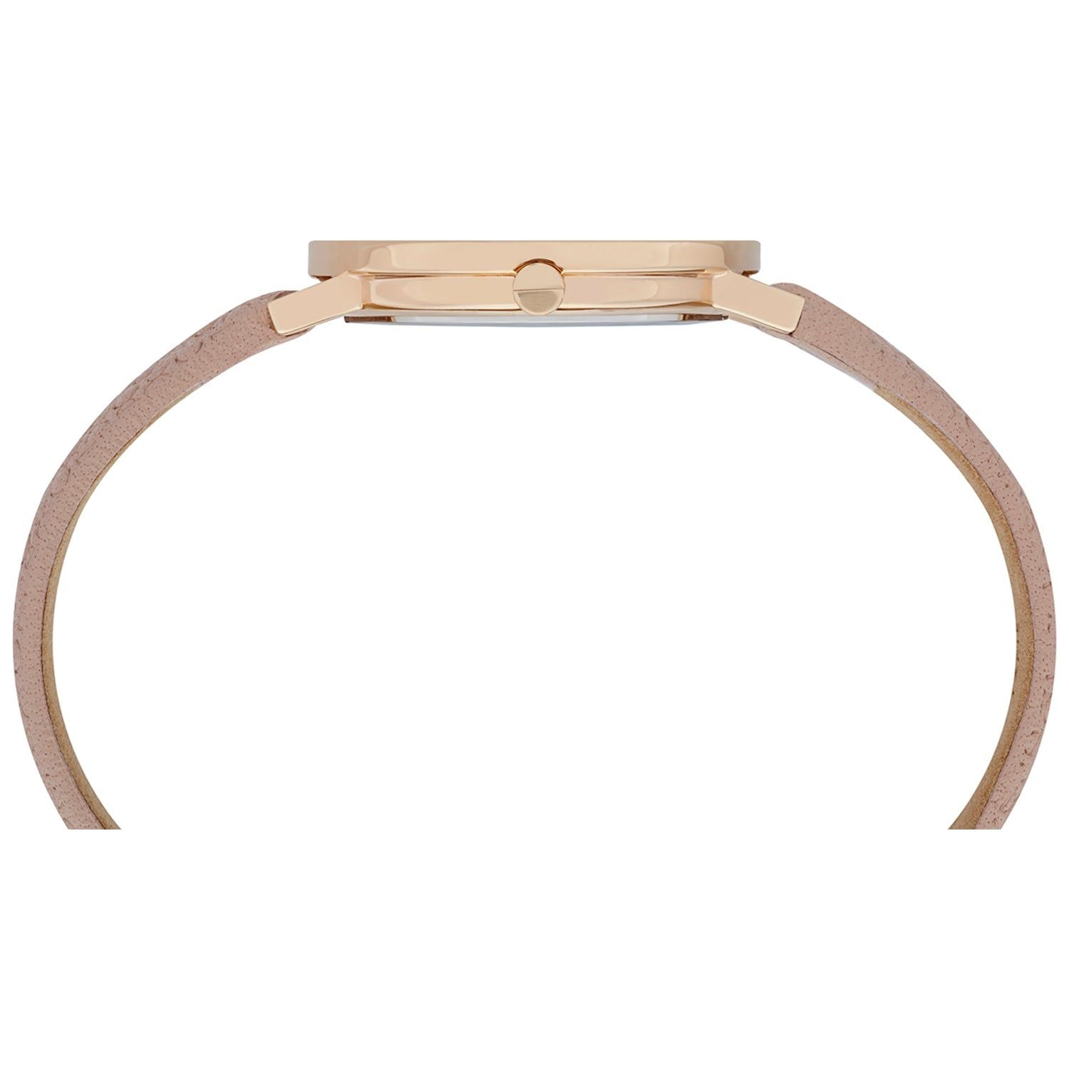 PIERRE CARDIN MOD. CBV-1504