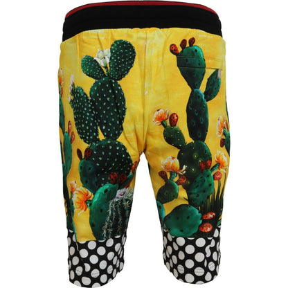 Dolce & Gabbana Multicolor Cactus Print Cotton Sweat Shorts