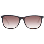 Police Brown Men Sunglass
