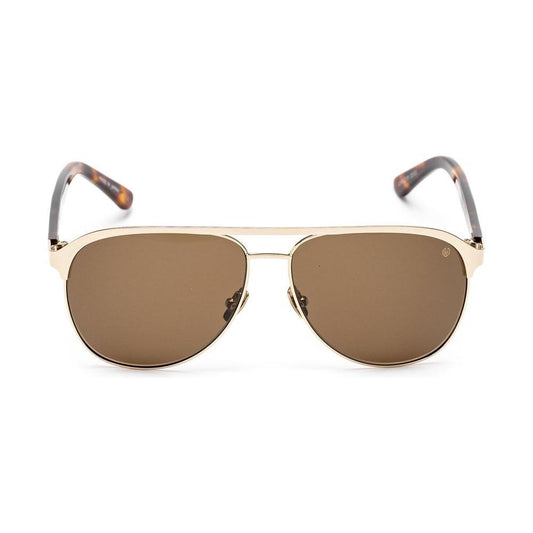 Belstaff Gold Acetate Sunglasses BEEQUINOXDORADOONAC