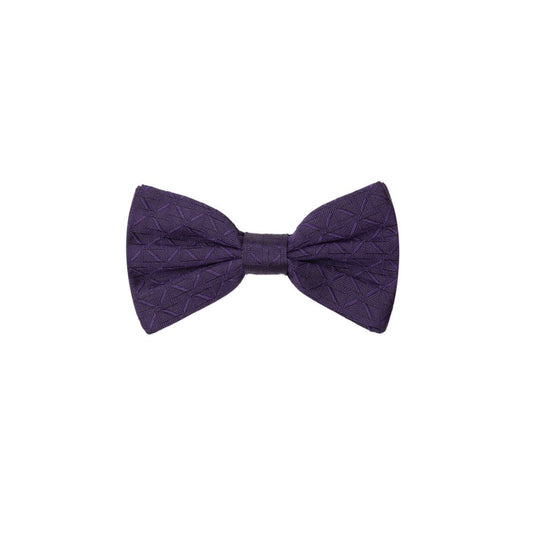 Dolce & Gabbana Purple Silk Bowty DO-8307663-ONE SIZE