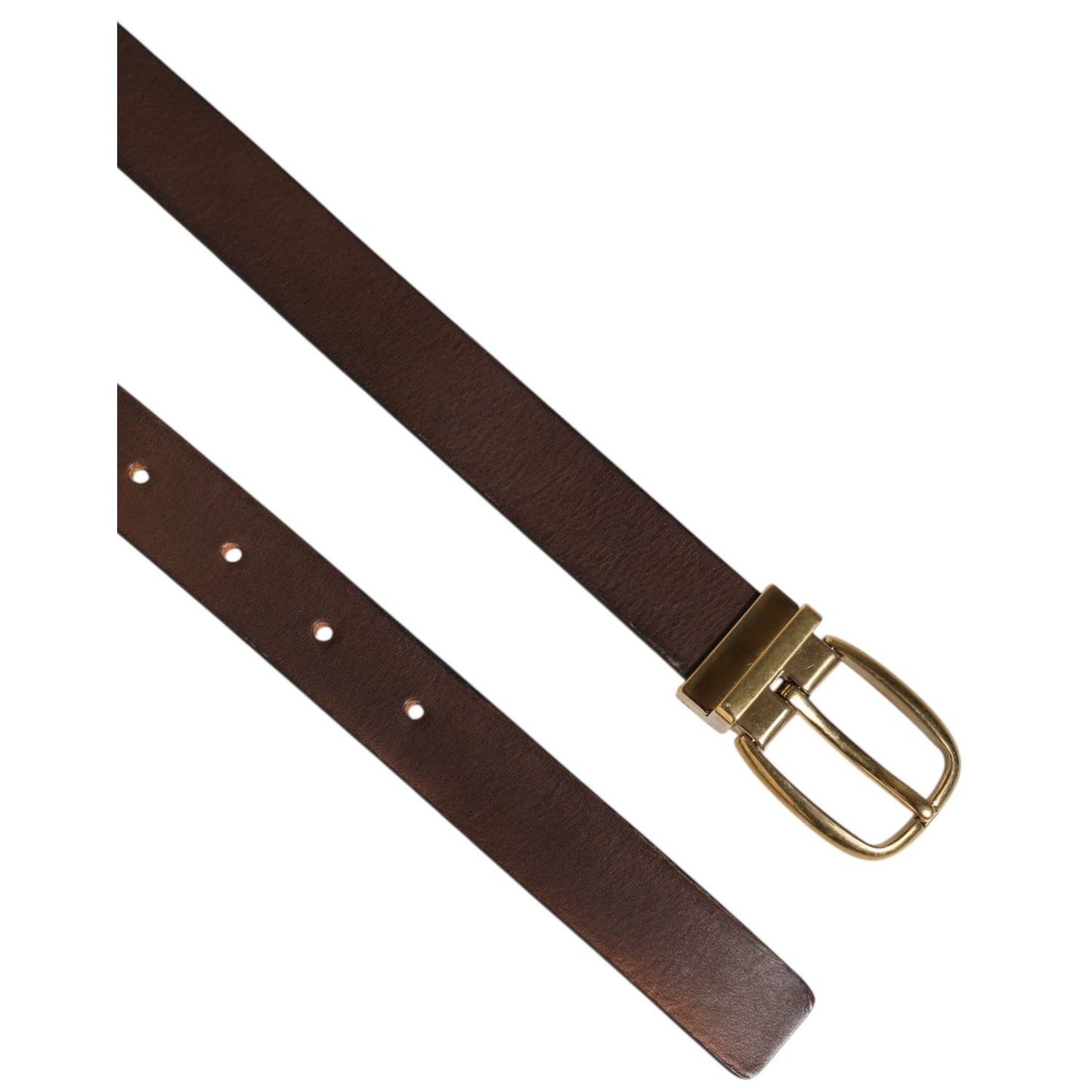 Dolce & Gabbana Brown Classic Gold Metal Logo Buckle Men Belt