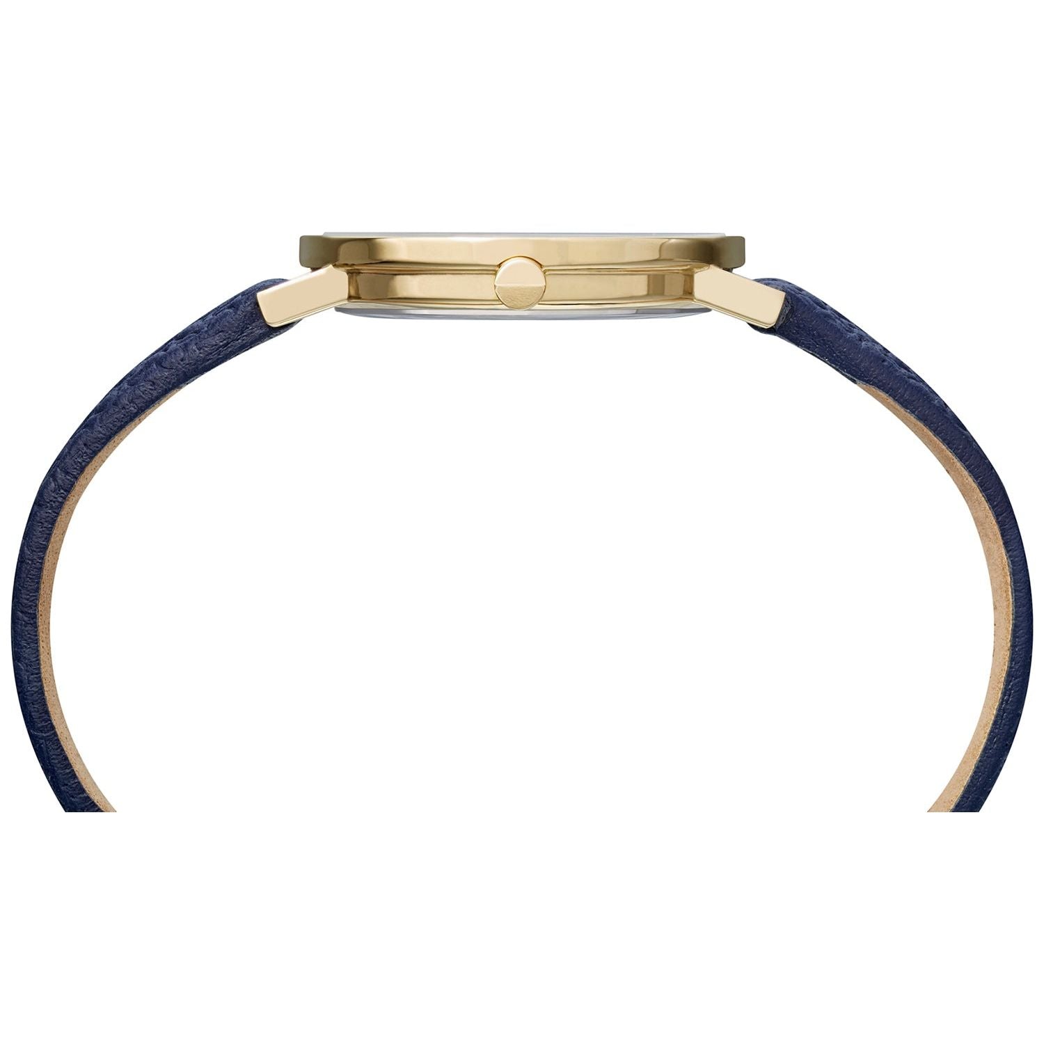 PIERRE CARDIN MOD. CBV-1505