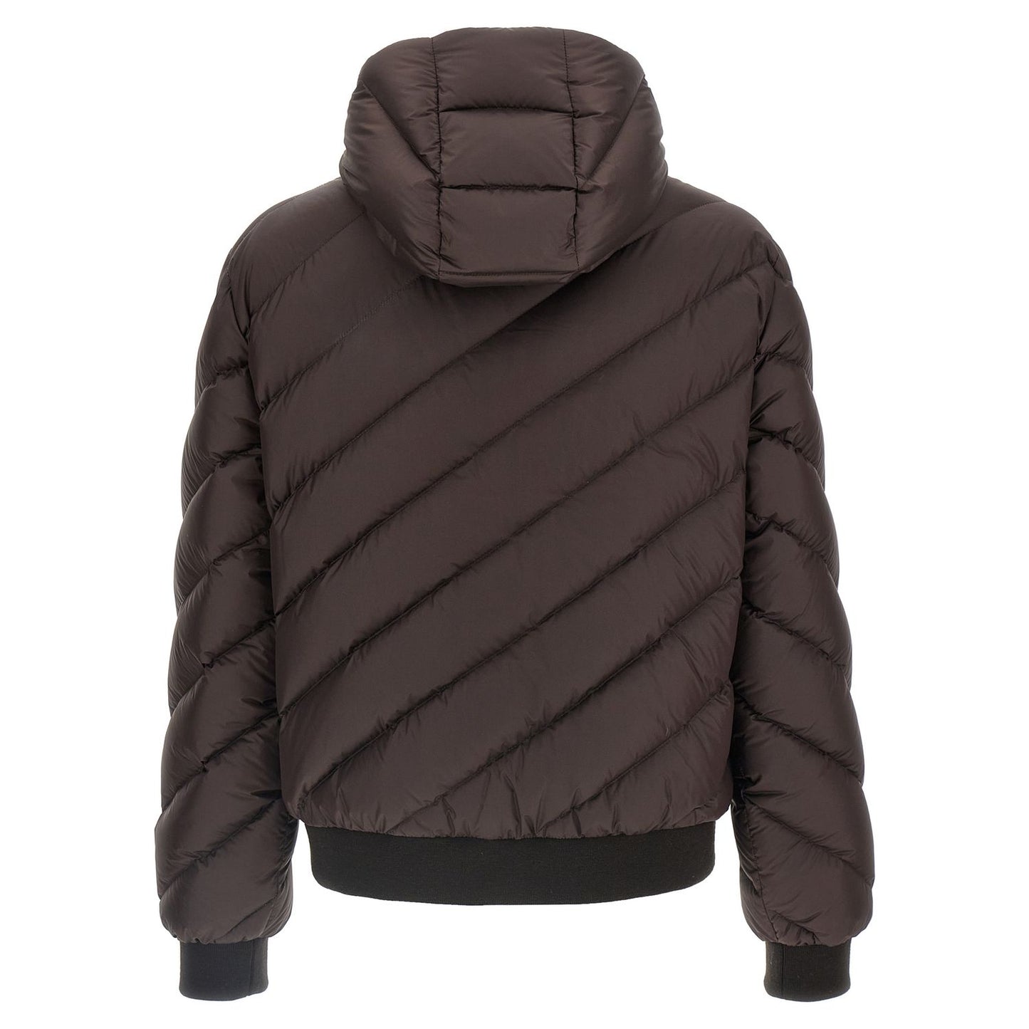 Fendi Multicolor Polyester Shell Jacket